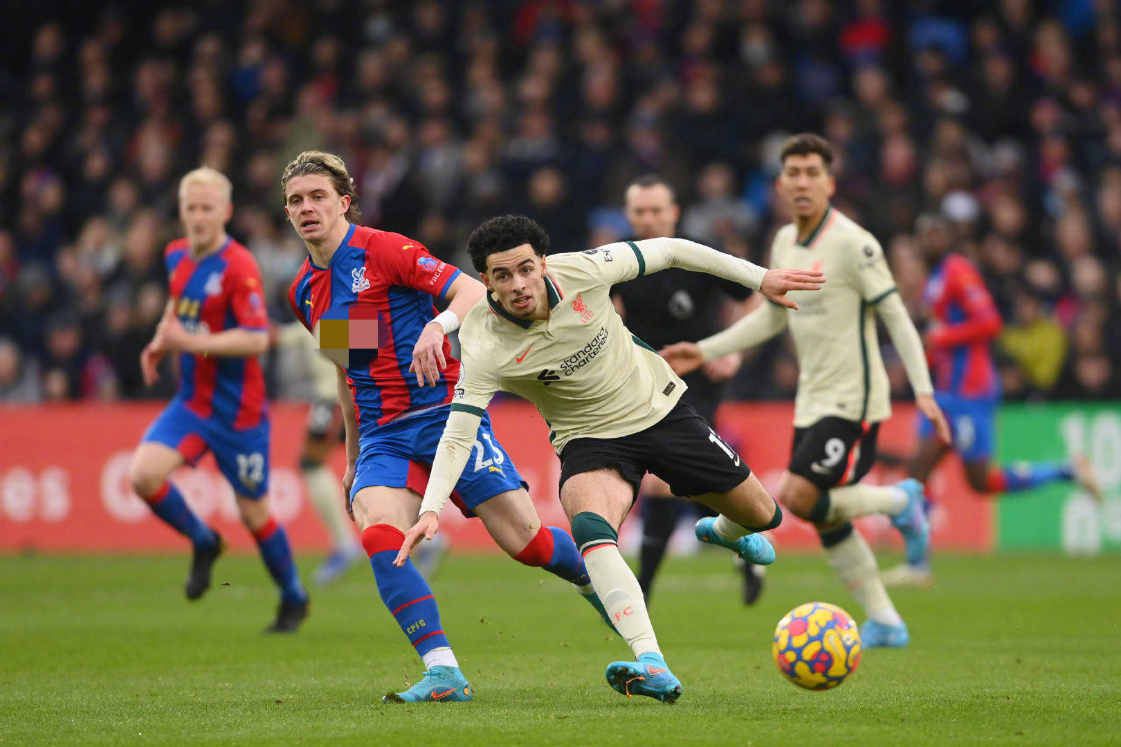 正是职业足 正是职业足